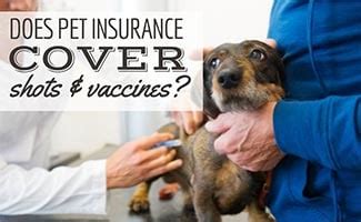 pet insurance that covers vaccines